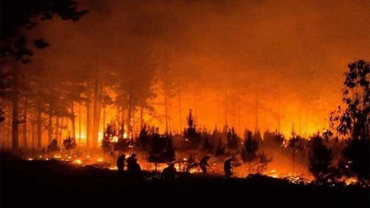 Pavoroso incendio forestal en Chile