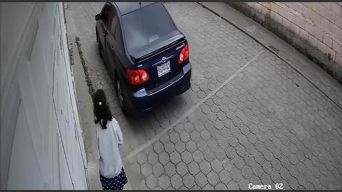 Niña logra evitar ser secuestrada  por un depredador Sexual