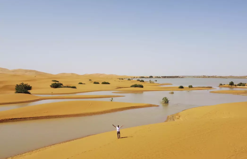 Desierto del Sahara Inundado: Impacto Climático y Desafíos Ecosistémicos