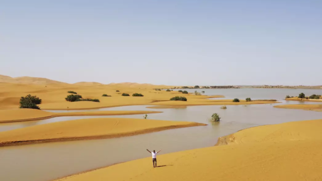 Desierto del Sahara Inundado: Impacto Climático y Desafíos Ecosistémicos